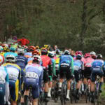 Peloton going up the Knokteberg during E3 Saxo Classic 2024